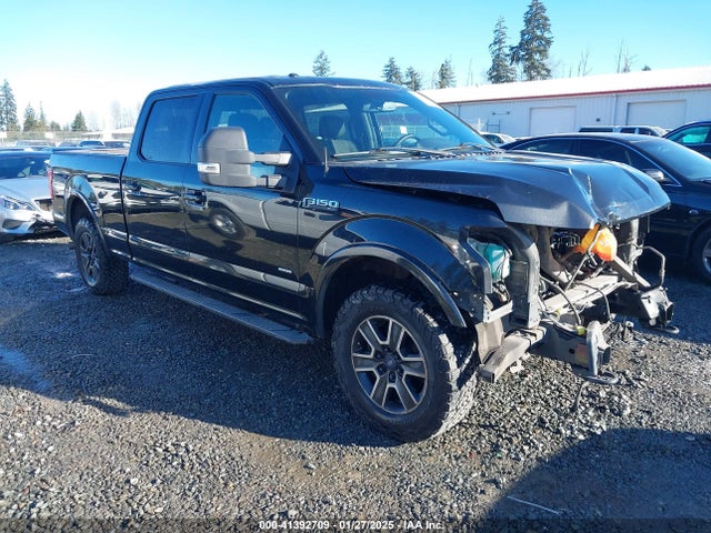 Ford F-150 Xlt 2015 1FTFW1EG5FFC13942 Image 1