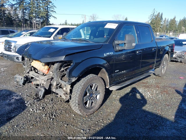 Ford F-150 Xlt 2015 1FTFW1EG5FFC13942 Image 2