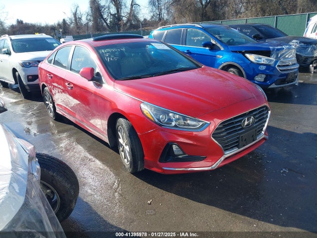 2019 5NPE24AFXKH804970 main image