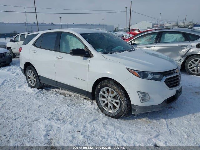 Chevrolet EQUINOX LS 2019 2GNAXSEV5K6161848 Image 1