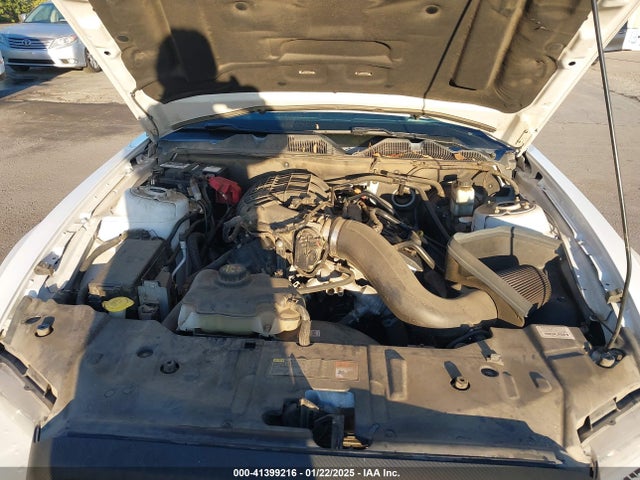 1ZVBP8AMXE5224596 Ford Mustang