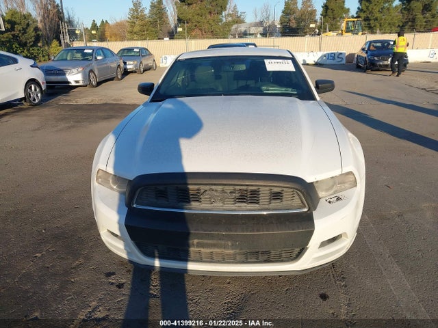 1ZVBP8AMXE5224596 Ford Mustang