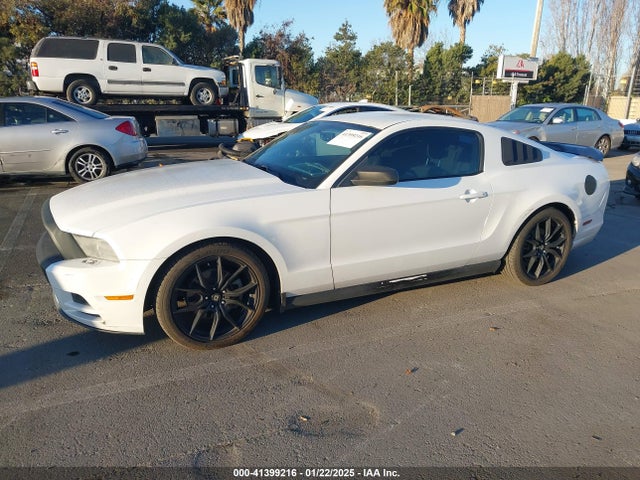1ZVBP8AMXE5224596 Ford Mustang