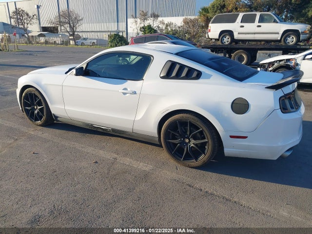 1ZVBP8AMXE5224596 Ford Mustang
