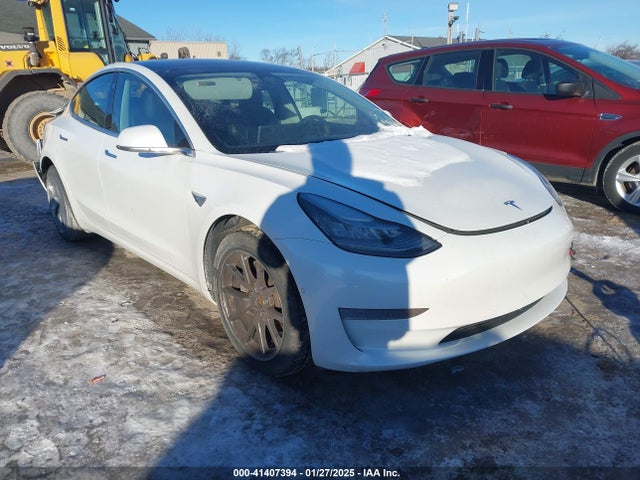 2019 TESLA MODEL 3 5YJ3E1EB0KF493617 Photo 0