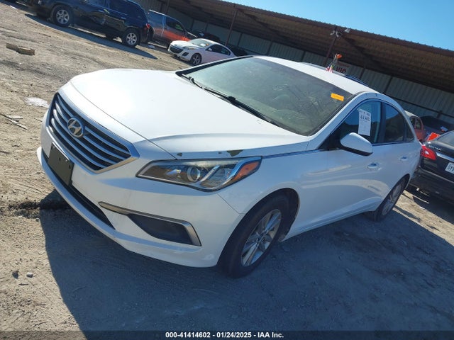 5NPE24AF3GH282626 Hyundai SONATA SE