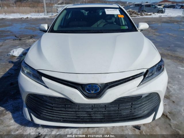4T1B31HK2KU006126 Toyota Camry Hybrid Le