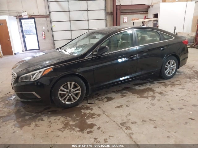 5NPE24AFXHH552596 Hyundai SONATA SE