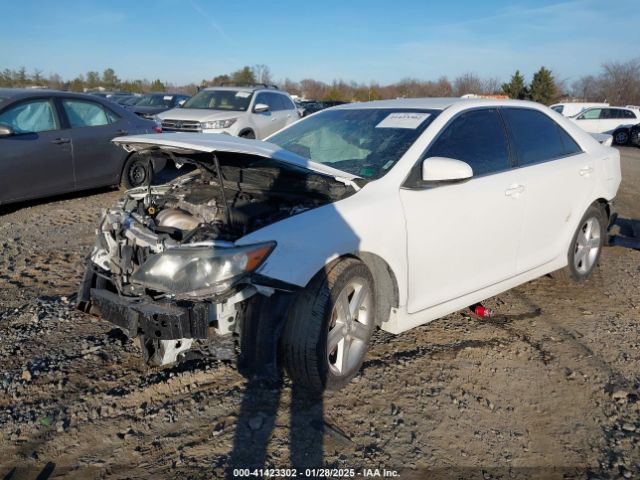 4T1BF1FK7EU454988 Toyota CAMRY SE