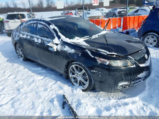 2010 ACURA TL 19UUA9F55AA002300