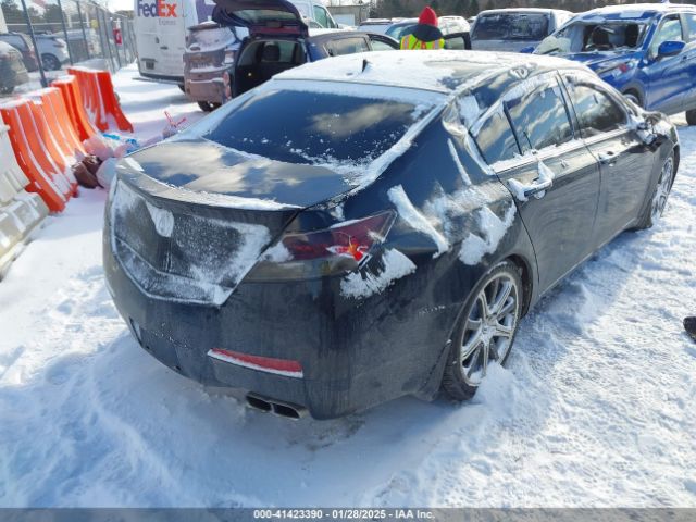 2010 ACURA TL 19UUA9F55AA002300 Photo 3