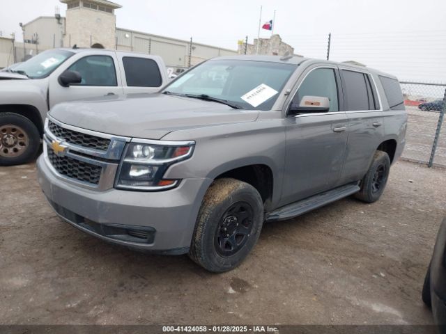 1GNLCDEC6KR239203 Chevrolet Tahoe Commercial Fleet
