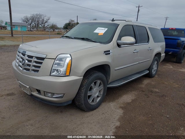 2007 CADILLAC ESCALADE ESV 1GYFK66897R303654 Photo 1