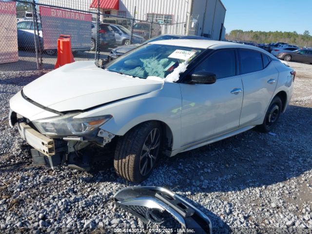 1N4AA6AP3HC400571 Nissan Maxima 3.5 S