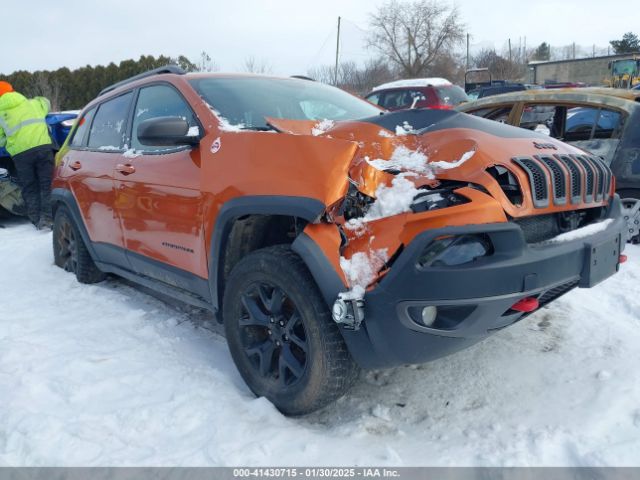 1C4PJMBS9FW655233 auction archive image