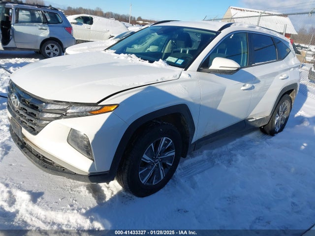 KM8JBCA19NU021092 Hyundai Tucson Hybrid Blue