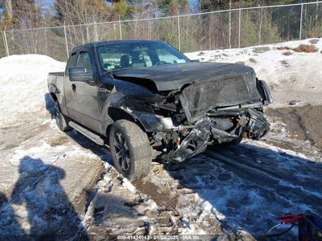 2013 FORD F-150 1FTFX1EF1DKF58216