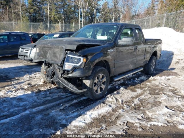 2013 FORD F-150 1FTFX1EF1DKF58216 Photo 1