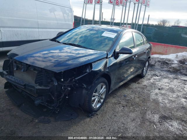5NPE24AF0HH534334 Hyundai Sonata