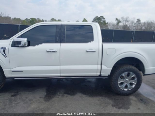 1FTFW1ED3MFB75260 Ford F-150 Platinum
