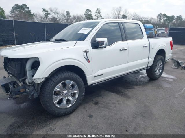 1FTFW1ED3MFB75260 Ford F-150 Platinum