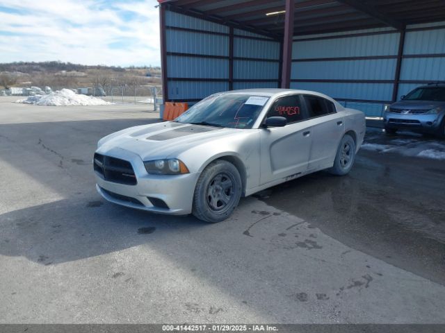 2013 DODGE CHARGER 2C3CDXAT1DH642347 Photo 1