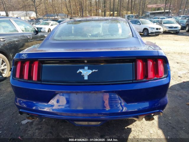 1FA6P8AM8G5264379 Ford Mustang V6