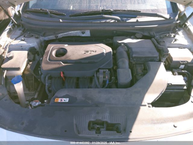 5NPE24AF4HH491262 Hyundai Sonata
