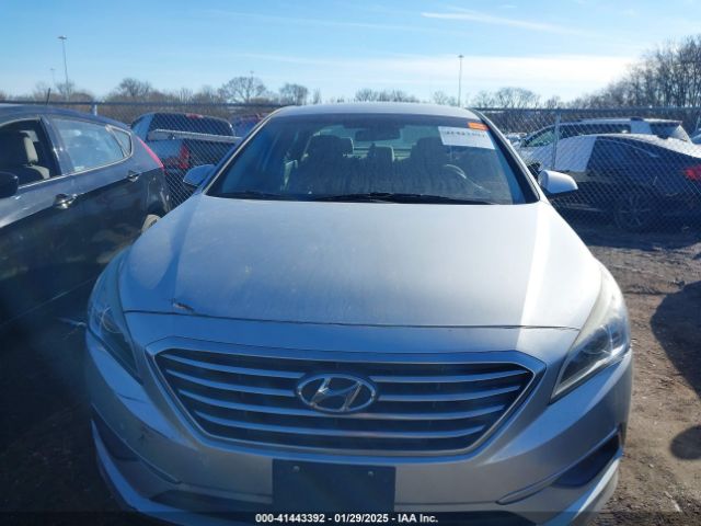 5NPE24AF4HH491262 Hyundai Sonata