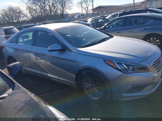 5NPE24AF4HH491262 Hyundai Sonata