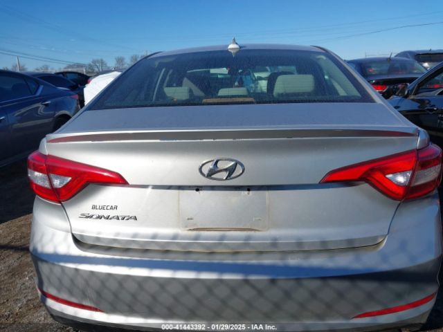 5NPE24AF4HH491262 Hyundai Sonata