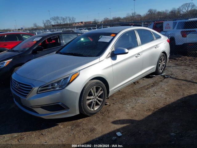 5NPE24AF4HH491262 Hyundai Sonata