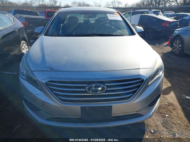 5NPE24AF4HH491262 Hyundai Sonata