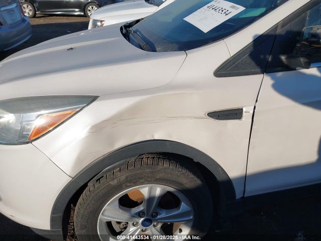 Ford ESCAPE SE 2015 1FMCU9GX9FUC10019 Image 6
