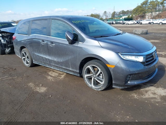 Honda Odyssey Ex-l 2024 5FNRL6H65RB055097 Image 1