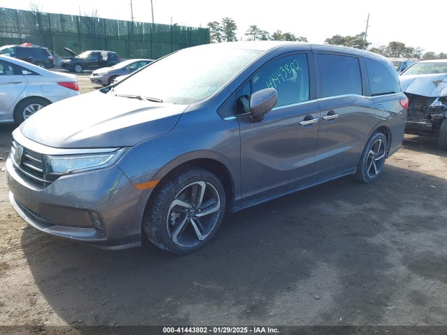 Honda Odyssey Ex-l 2024 5FNRL6H65RB055097 Image 2