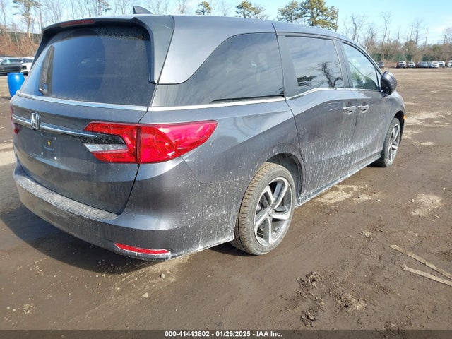 Honda Odyssey Ex-l 2024 5FNRL6H65RB055097 Image 4