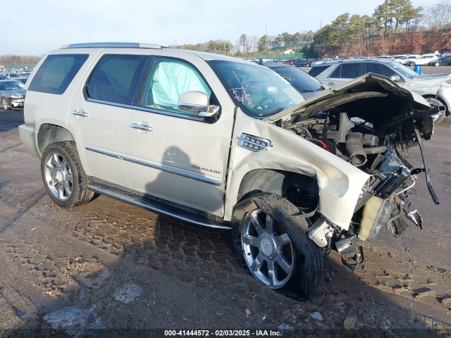 2010 CADILLAC ESCALADE 1GYUKBEF4AR225386 Photo 0