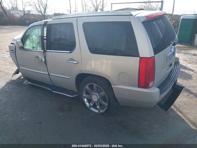 2010 CADILLAC ESCALADE 1GYUKBEF4AR225386 Photo 2