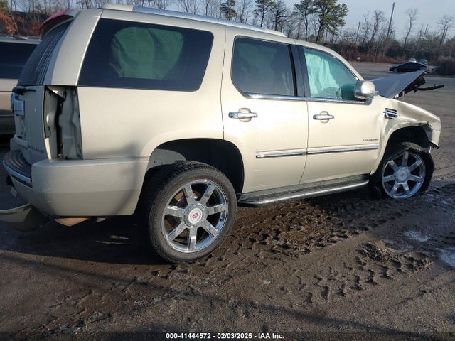 2010 CADILLAC ESCALADE 1GYUKBEF4AR225386 Photo 3