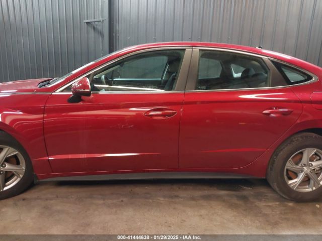 KMHL24JA1PA266259 Hyundai SONATA SE