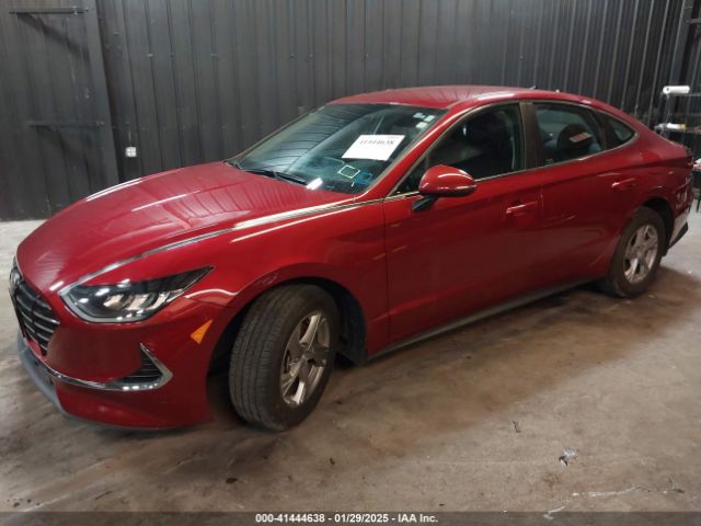 KMHL24JA1PA266259 Hyundai SONATA SE