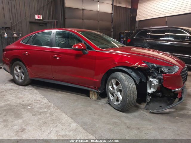 KMHL24JA1PA266259 Hyundai SONATA SE