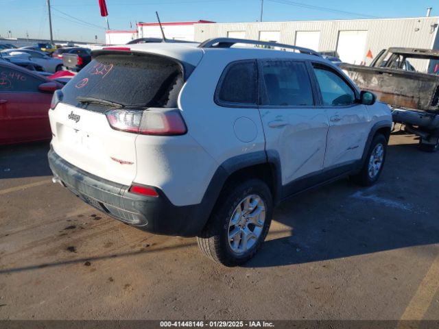 1C4PJMBX8KD313712 Jeep Cherokee Trailhawk 4x4