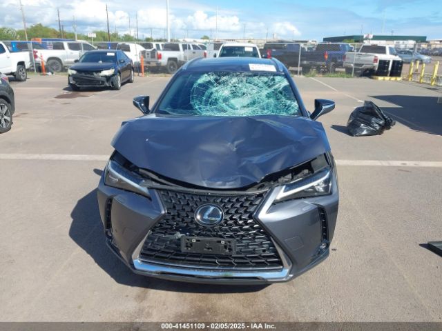 JTHL3JBH0N2046676 Lexus Ux 200 Luxury