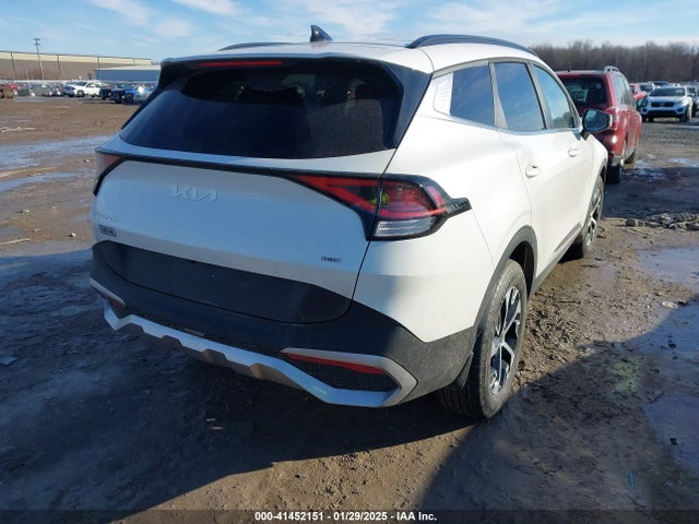 KNDPVCDG3R7148785 KIA Sportage Hybrid Ex