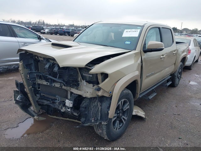 5TFCZ5AN5HX090209 Toyota Tacoma Trd Sport