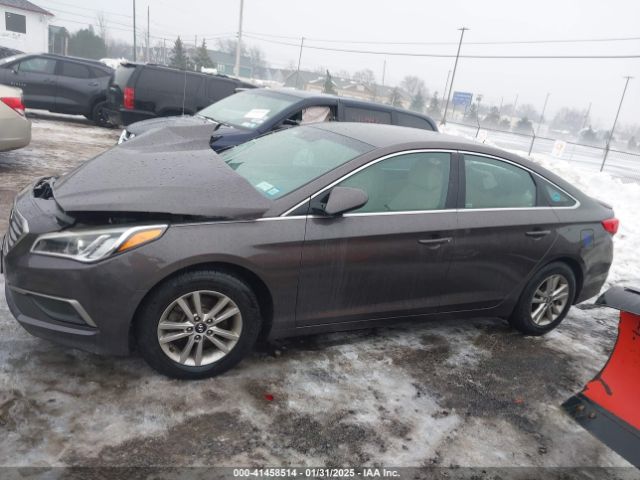 5NPE24AF0GH324444 Hyundai SONATA SE