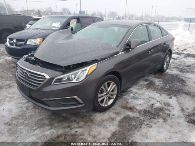 5NPE24AF0GH324444 Hyundai SONATA SE