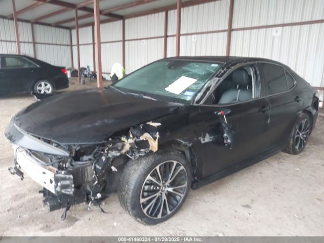 4T1B11HK0KU795835 Toyota CAMRY SE